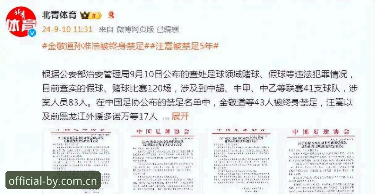 足协第三批禁足名单深度分析：17人终身禁赛背后，中国足球经历了什么